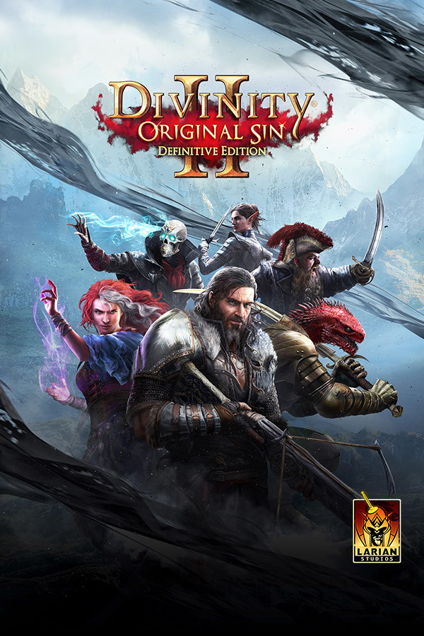 Divinity: Original Sin 2 cover artwork